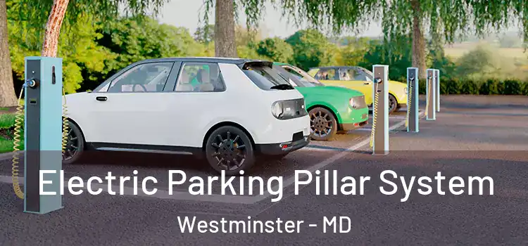  Electric Parking Pillar System Westminster - MD